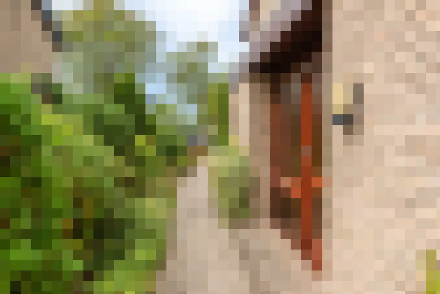 Tweelingenlaan 7 Eindhoven thumbnail 64