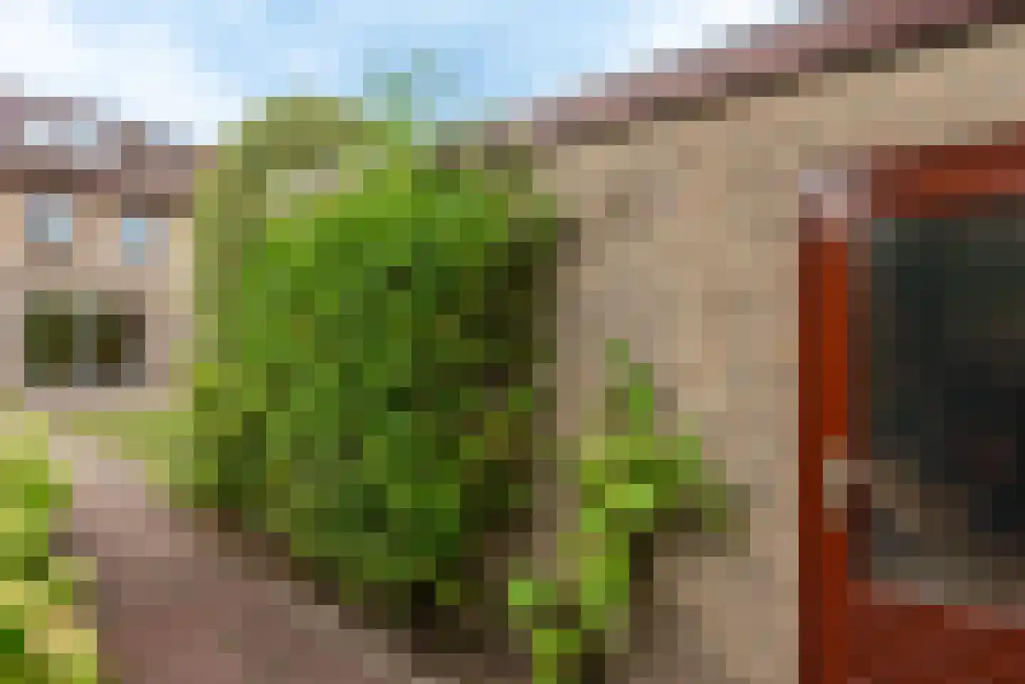 Tweelingenlaan 7 Eindhoven thumbnail 66