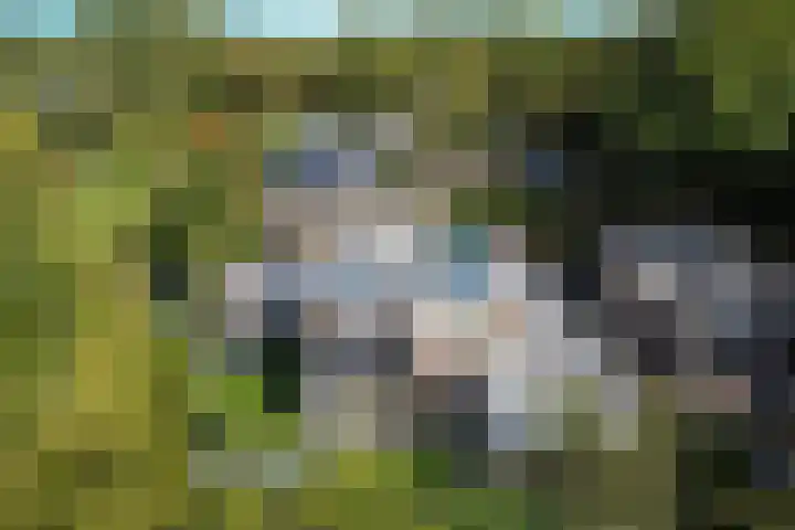 Tweeloo 23 in Meppel