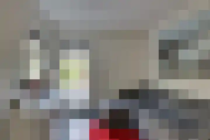 Tweeloo 23 Meppel thumbnail 11