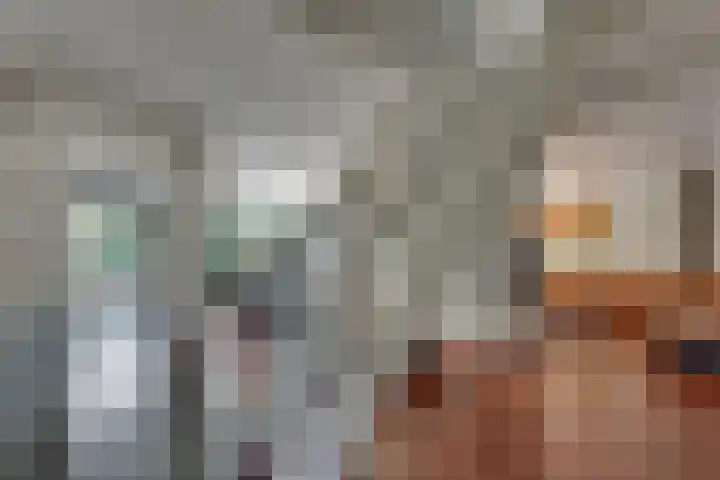 Tweeloo 23 Meppel thumbnail 12