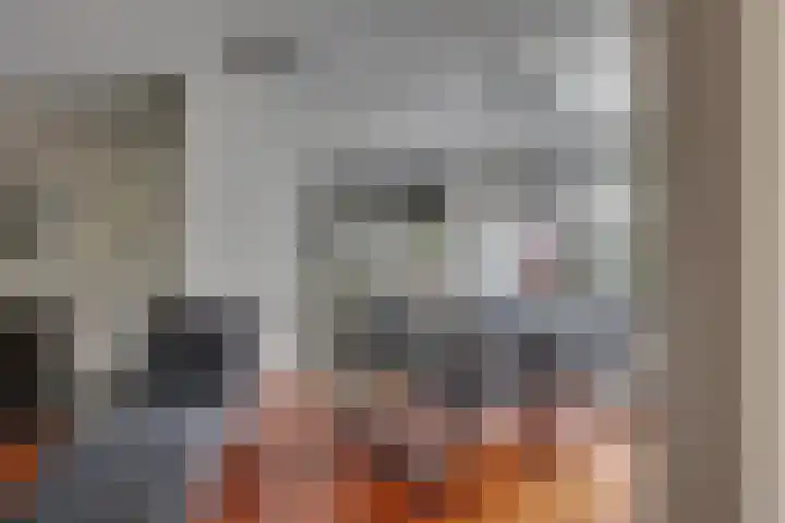 Tweeloo 23 Meppel thumbnail 20