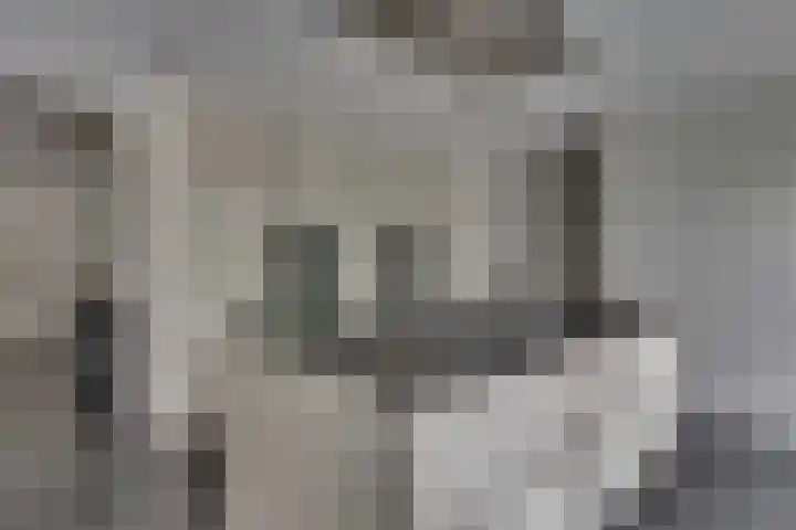 Tweeloo 23 Meppel thumbnail 22