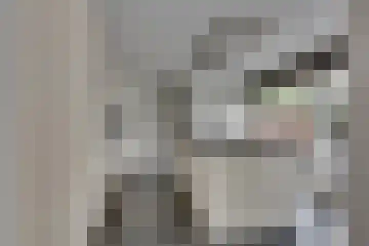 Tweeloo 23 Meppel thumbnail 23