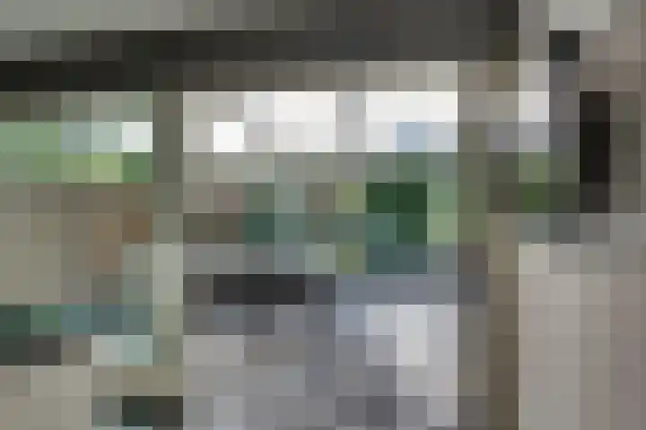 Tweeloo 23 Meppel thumbnail 25