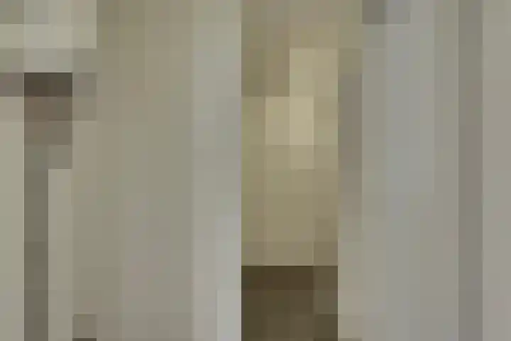 Tweeloo 23 Meppel thumbnail 26