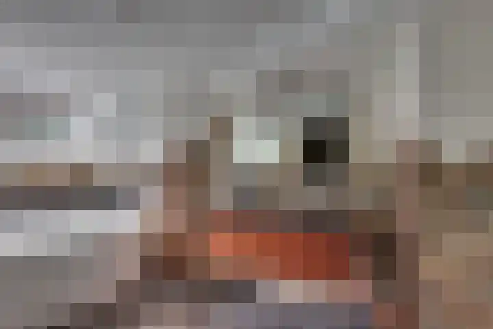 Tweeloo 23 Meppel thumbnail 29