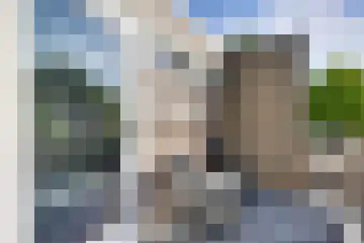Tweeloo 23 Meppel thumbnail 34
