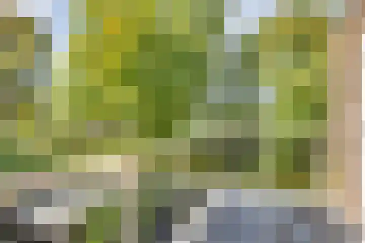 Tweeloo 23 Meppel thumbnail 35
