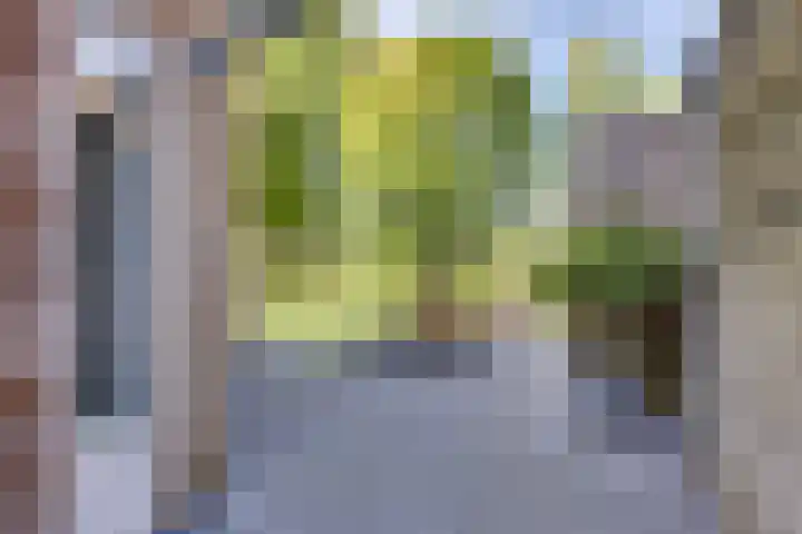Tweeloo 23 Meppel thumbnail 42