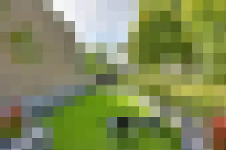Tweeloo 23 Meppel thumbnail 43