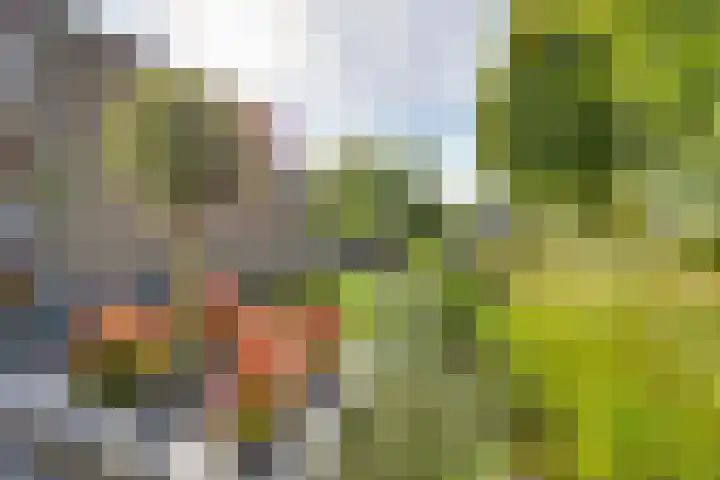 Tweeloo 23 Meppel thumbnail 44