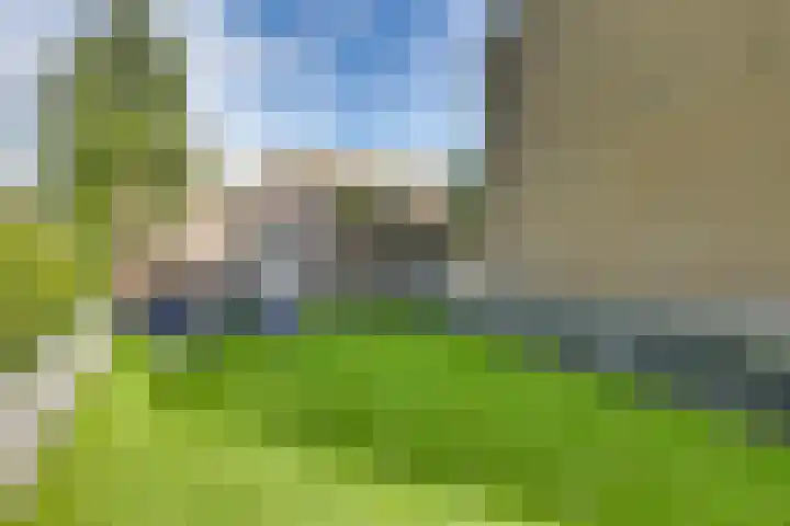 Tweeloo 23 Meppel thumbnail 45