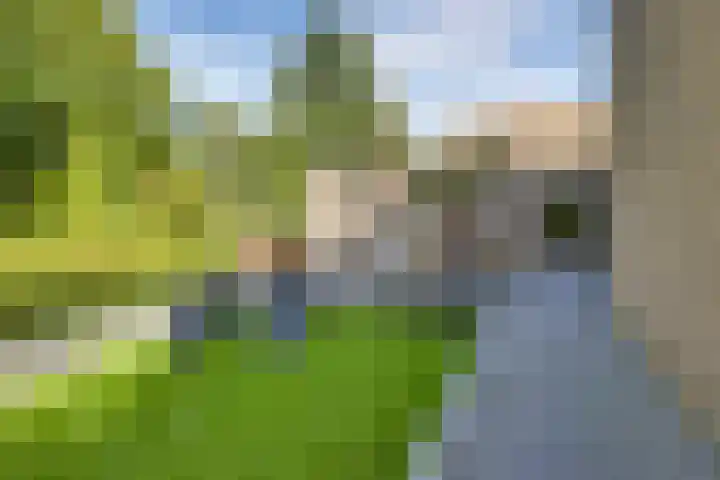 Tweeloo 23 Meppel thumbnail 46