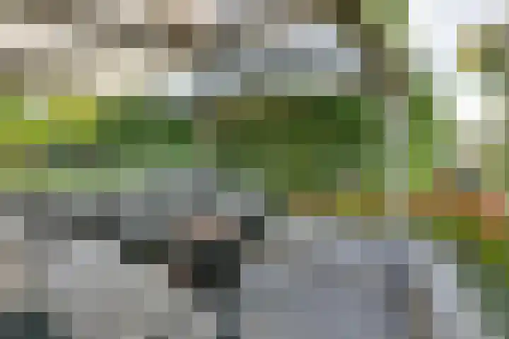 Tweeloo 23 Meppel thumbnail 48