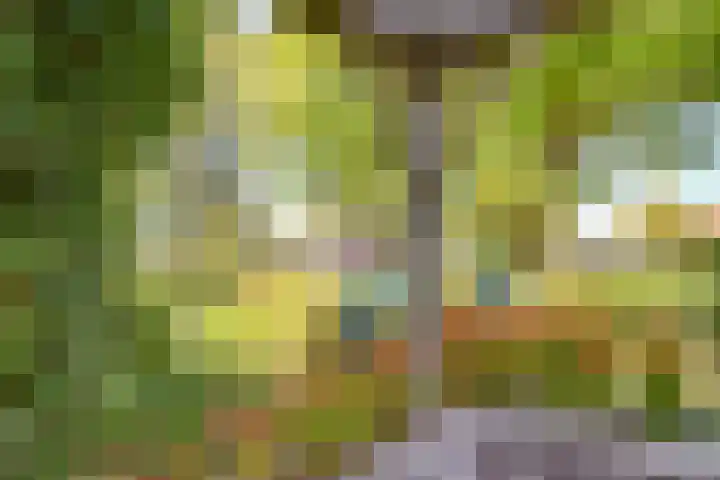 Tweeloo 23 Meppel thumbnail 49