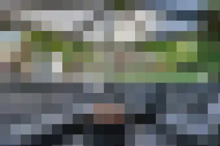 Tweeloo 23 Meppel thumbnail 50