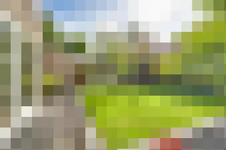 Tweeloo 23 Meppel thumbnail 51