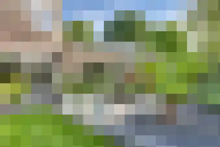 Tweeloo 23 Meppel thumbnail 52