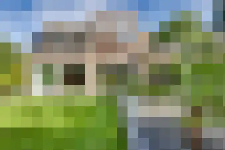 Tweeloo 23 Meppel thumbnail 54