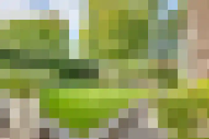Tweeloo 23 Meppel thumbnail 56
