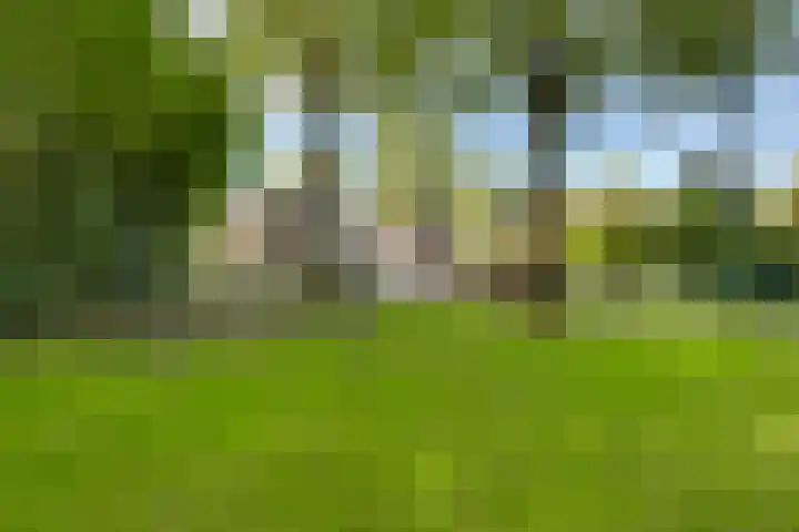 Tweeloo 23 Meppel thumbnail 57