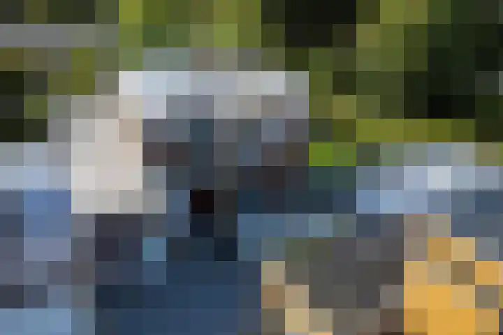 Tweeloo 23 Meppel thumbnail 59