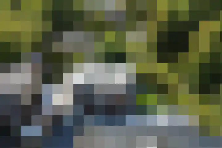 Tweeloo 23 Meppel thumbnail 60