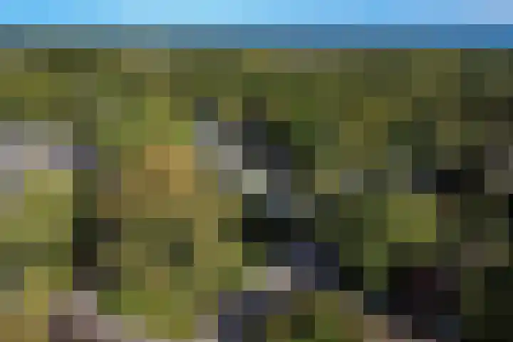 Tweeloo 23 Meppel thumbnail 61