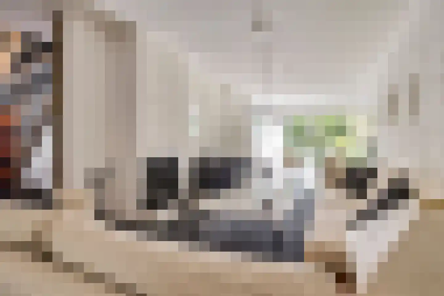 Tweeloo 5 Meppel thumbnail 12