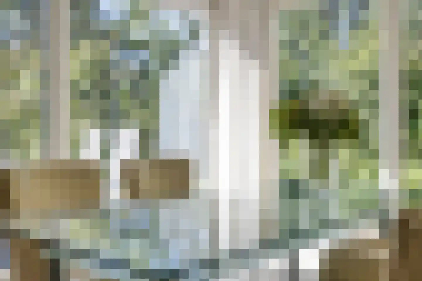 Tweeloo 5 Meppel thumbnail 16