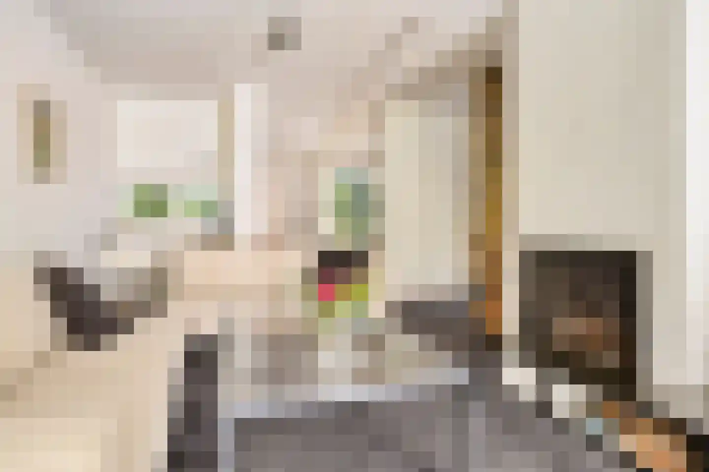 Tweeloo 5 Meppel thumbnail 21
