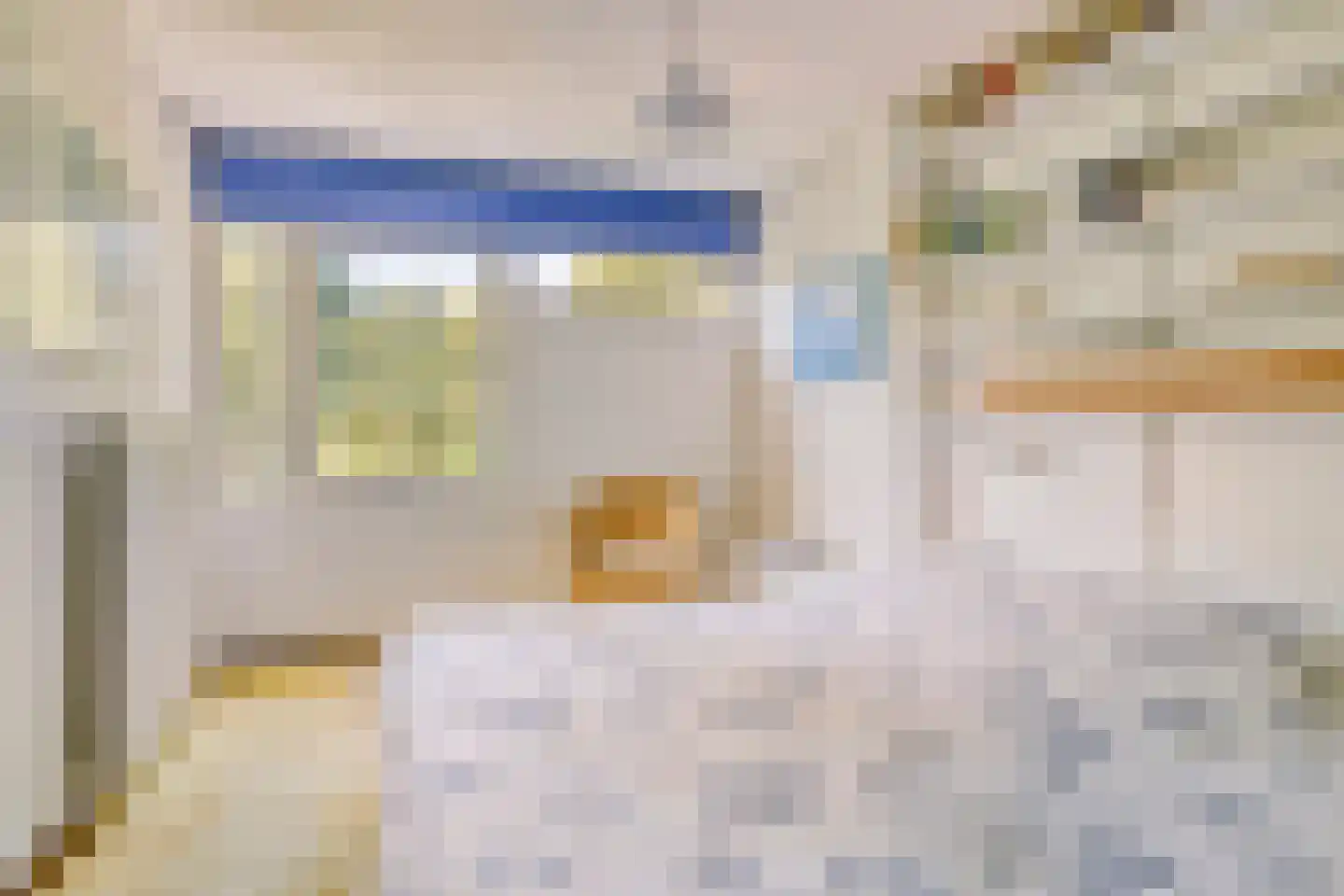 Tweeloo 5 Meppel thumbnail 29