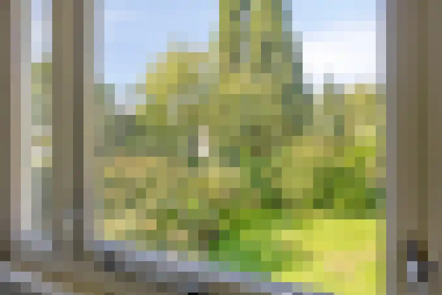 Tweeloo 5 Meppel thumbnail 31