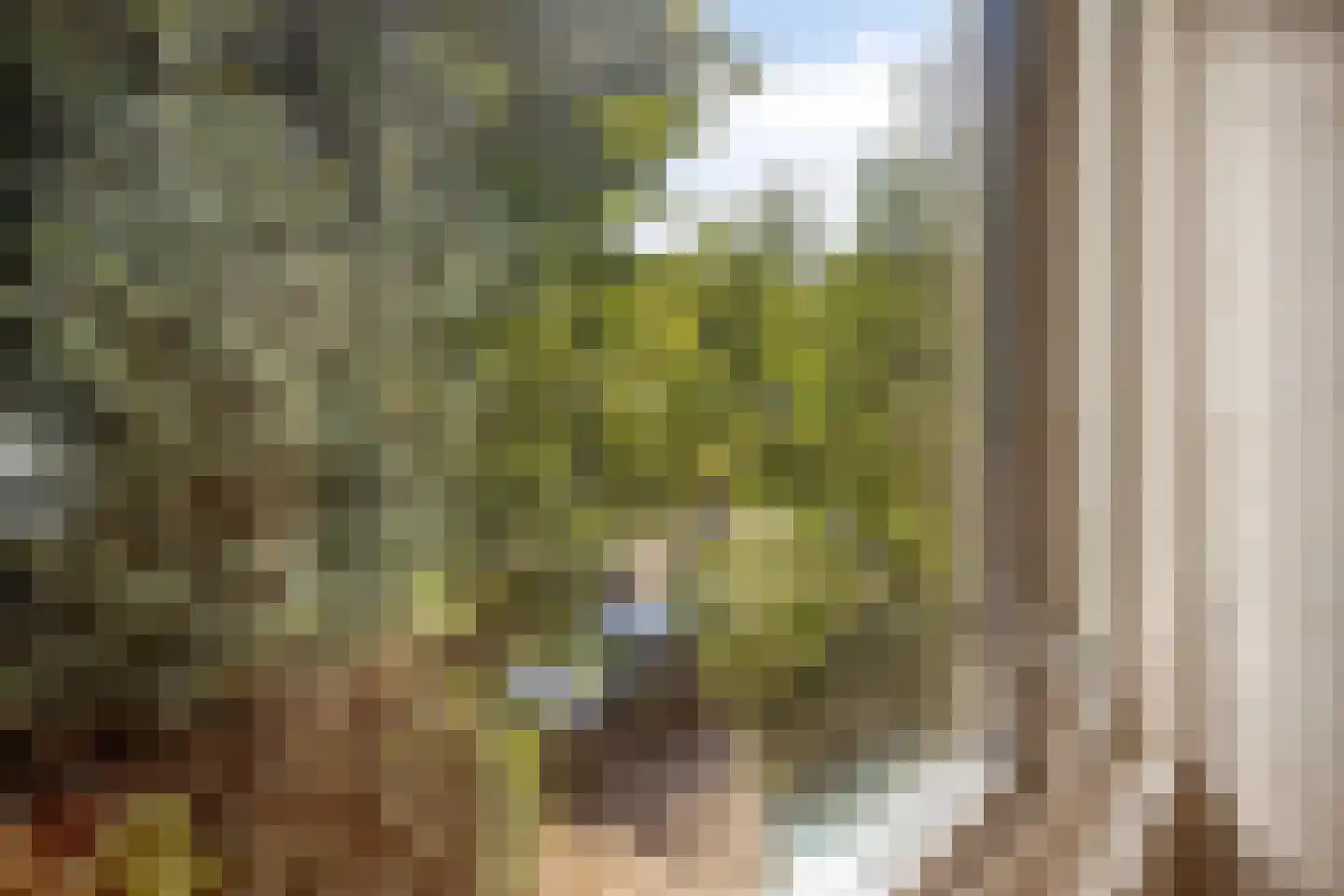 Tweeloo 5 Meppel thumbnail 40