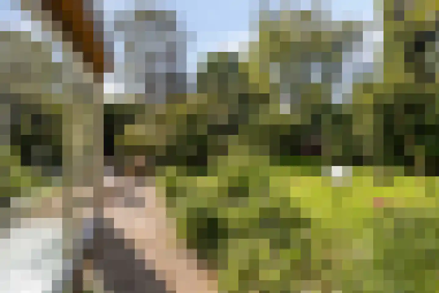 Tweeloo 5 Meppel thumbnail 44