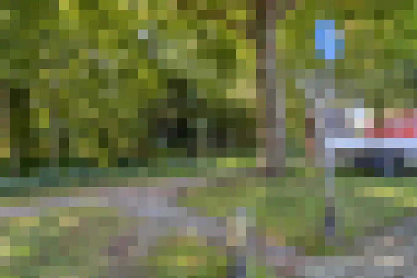 Tweeloo 5 Meppel thumbnail 47