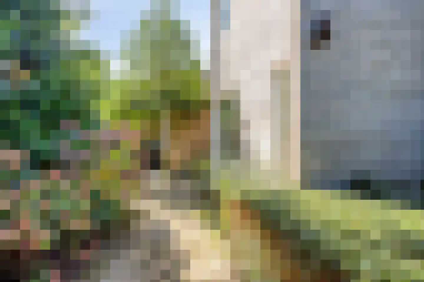 Tweeloo 5 Meppel thumbnail 9