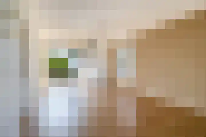 Tweemanspolder 25 Zevenhuizen thumbnail 11