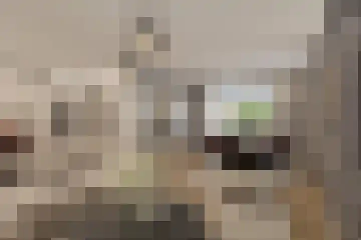 Tweemanspolder 25 Zevenhuizen thumbnail 13