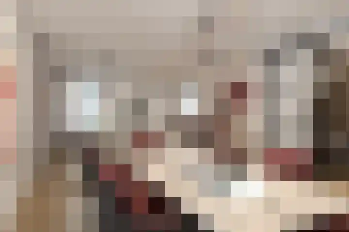 Tweemanspolder 25 Zevenhuizen thumbnail 17