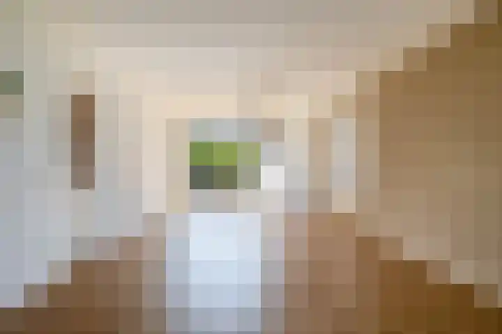 Tweemanspolder 25 Zevenhuizen thumbnail 18