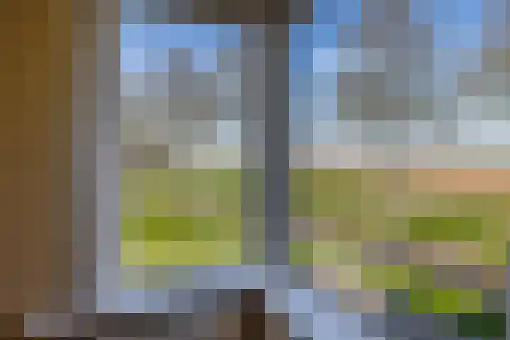 Tweemanspolder 25 Zevenhuizen thumbnail 19