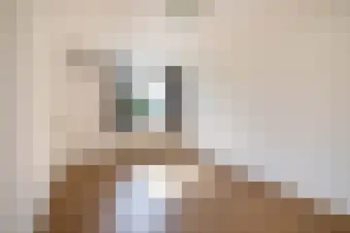 Tweemanspolder 25 Zevenhuizen thumbnail 23