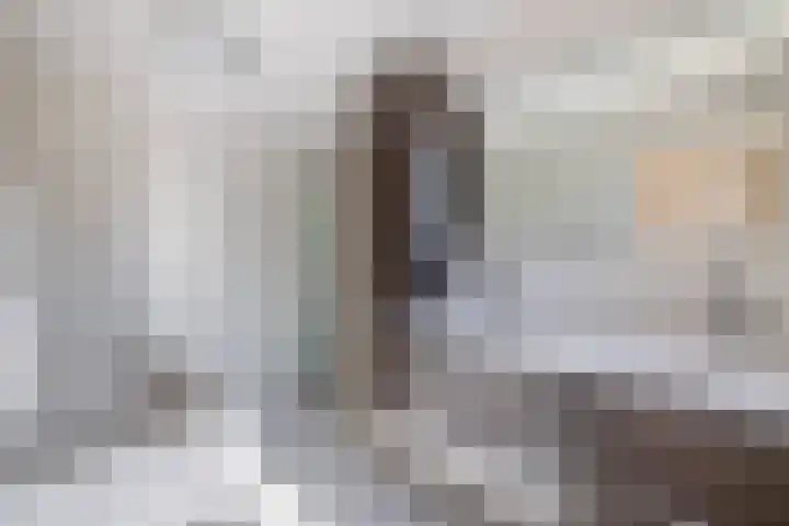 Tweemanspolder 25 Zevenhuizen thumbnail 25