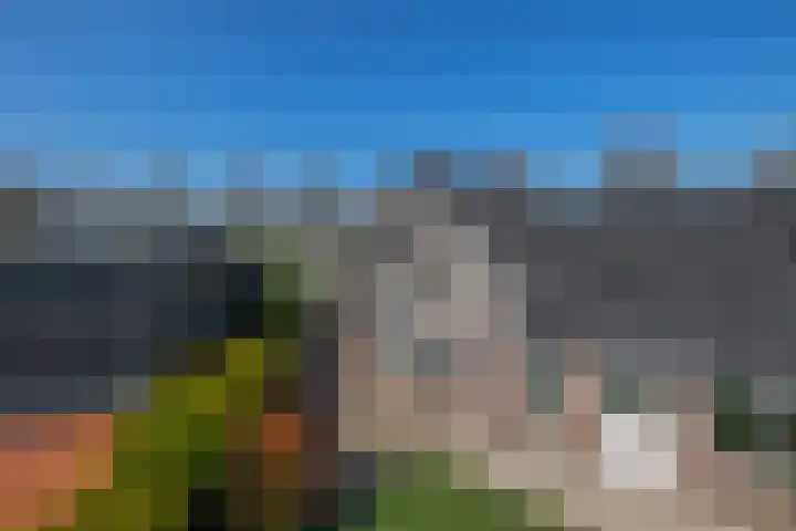 Tweemanspolder 25 Zevenhuizen thumbnail 43