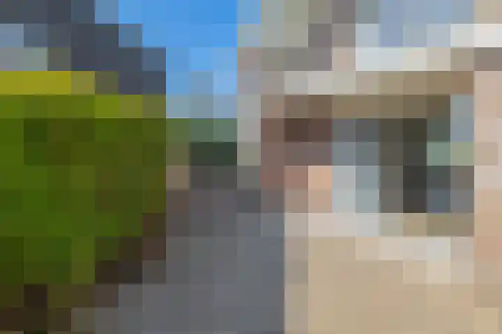 Tweemanspolder 25 Zevenhuizen thumbnail 44