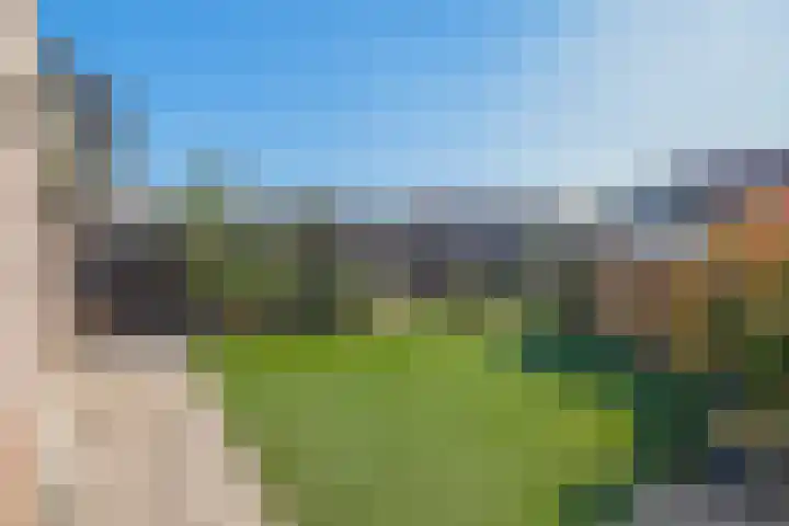 Tweemanspolder 25 Zevenhuizen thumbnail 45