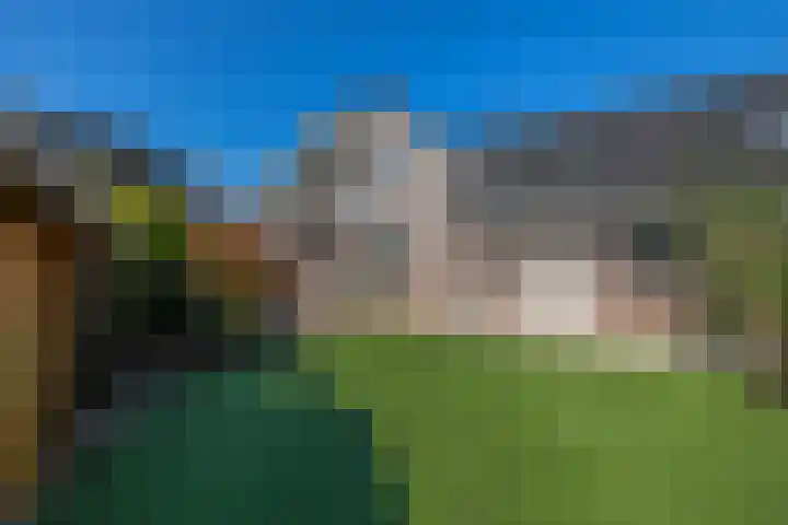 Tweemanspolder 25 Zevenhuizen thumbnail 48