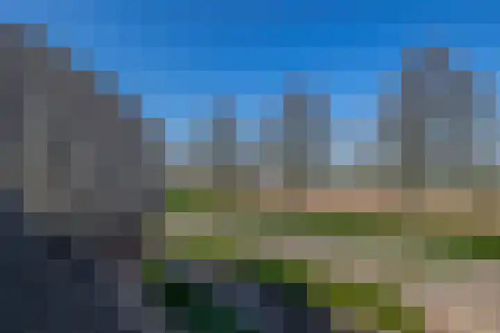 Tweemanspolder 25 Zevenhuizen thumbnail 49